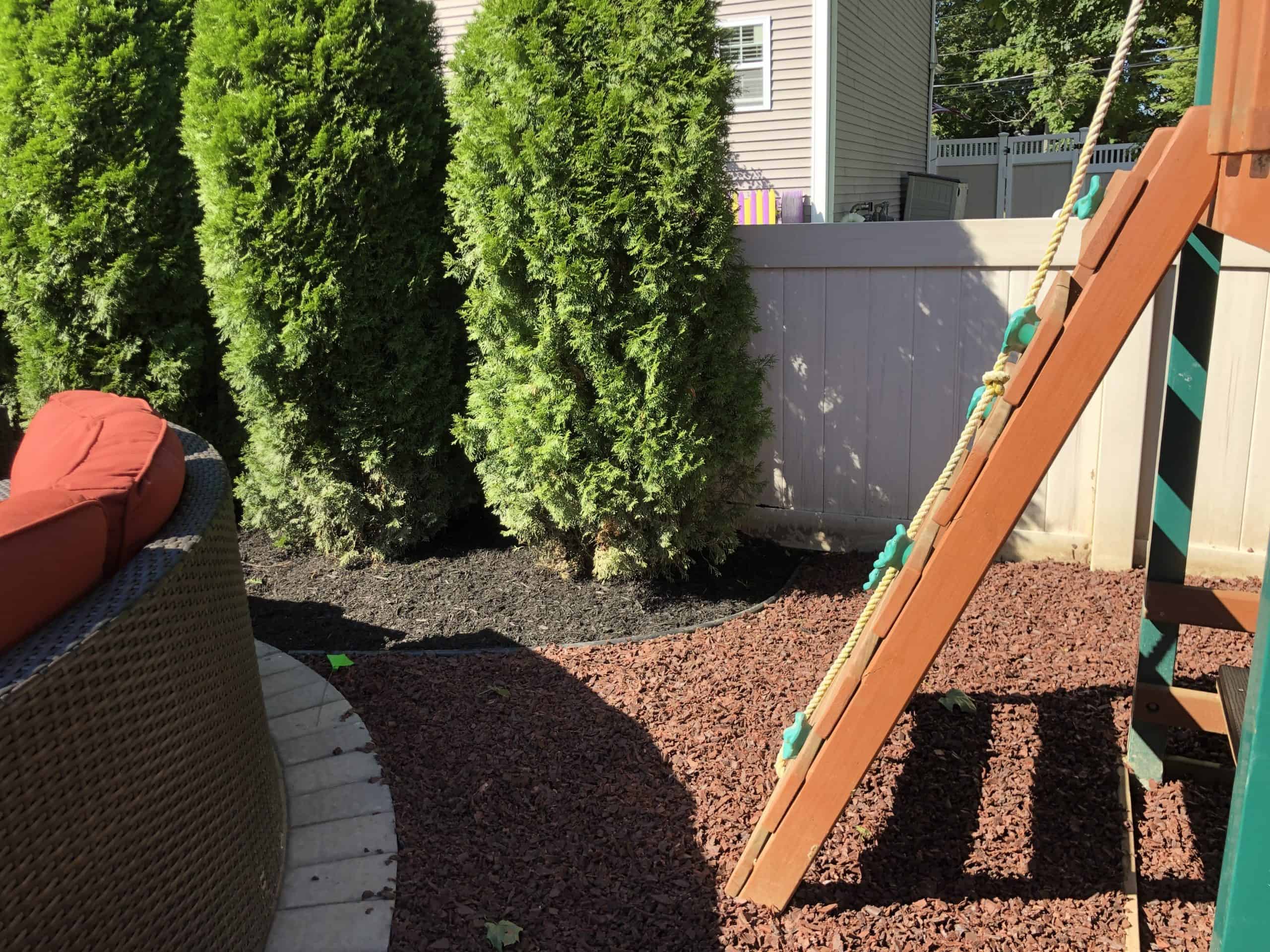 A backyard scene with tall evergreen trees and a white fence is adorned with red mulch. A wicker sofa with red cushions sits nearby, while part of a wooden play structure and rope climbing wall stand under the bright Suffolk County sun. Consider tick spraying for peace of mind in your serene retreat.