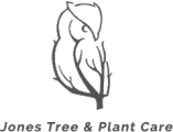 Jones Tree & Plant Care
