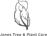 Jones Tree & Plant Care